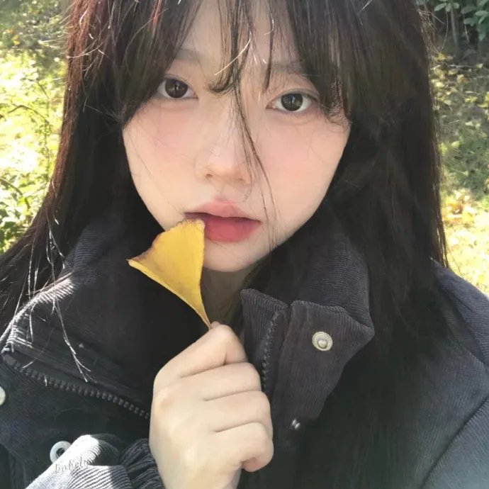 菜鸟评审员海报