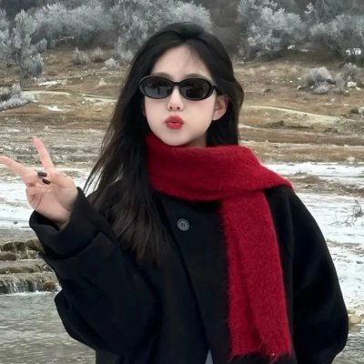 衰落与瓦解海报