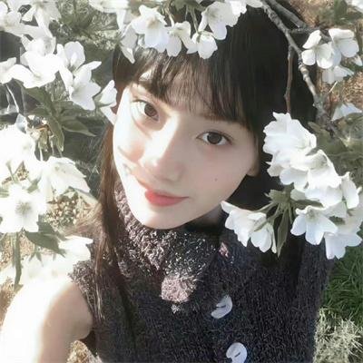 秋水伊人海报